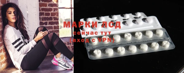 эйфоретик Аркадак