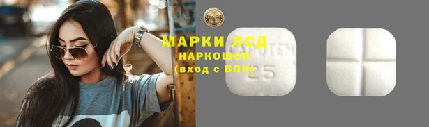ГАЛЛЮЦИНОГЕННЫЕ ГРИБЫ Баксан
