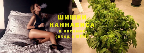 ECSTASY Дрезна