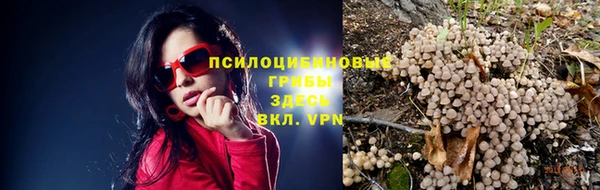 эйфоретик Аркадак