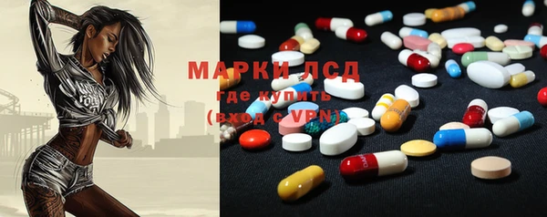 ГАЛЛЮЦИНОГЕННЫЕ ГРИБЫ Баксан