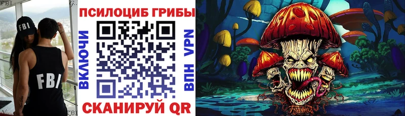 Псилоцибиновые грибы мицелий  где можно купить   Кирово-Чепецк 