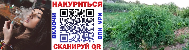 ОМГ ОМГ tor как найти закладки Кирово-Чепецк МАРИХУАНА план